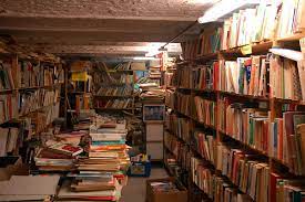 De Betovering van de Boekenwinkel: Een Magische Ontdekkingsreis