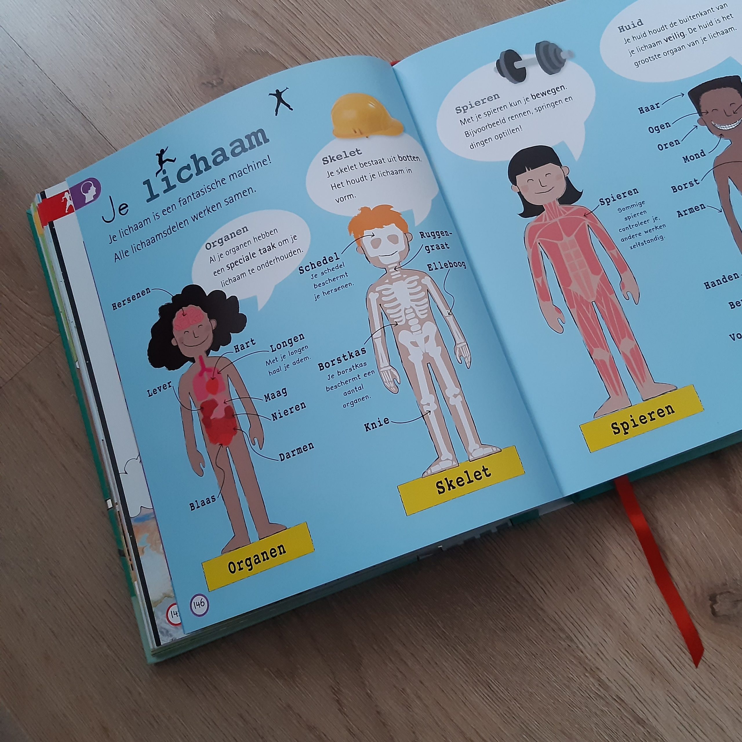 Ontdek de Magie van Lezen: Aanbevolen Leesboeken voor 7-Jarigen