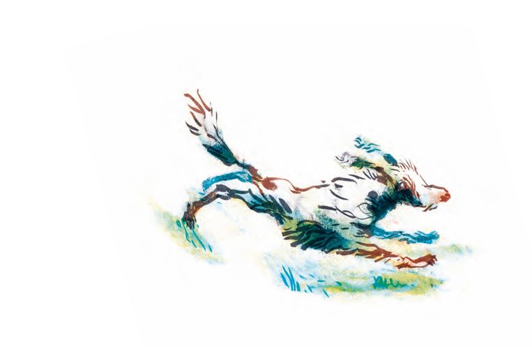 Bart Moeyaert: Meester van de Jeugdboeken